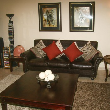 ELITE 093 Leather Couch with Scatter Cushions