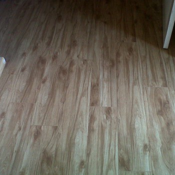 IMG00535-20121113-1411 Laminated Flooring