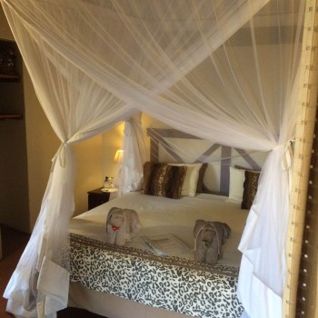 IMG_5359 Custom Made Mosquito Nets